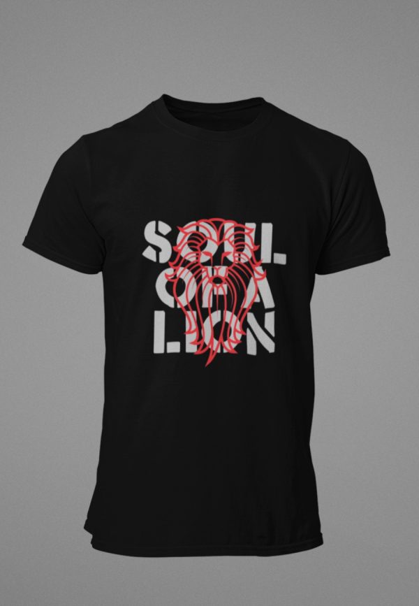 Lion tshirt image with text reading "soul of a lion"
