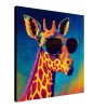 Giraffe Wearing Sunglasses canvas.